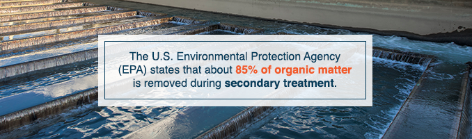 5-tratamiento secundario