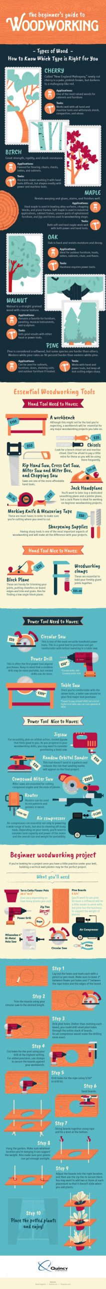 Beginner's Guide to Woodworking Infographic