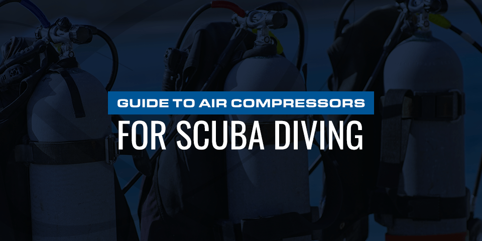 Guide to Scuba Diving